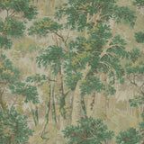 Colefax and Fowler Tapet Arden Leaf Green