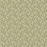 Colefax and Fowler Tapet Sea Coral Green