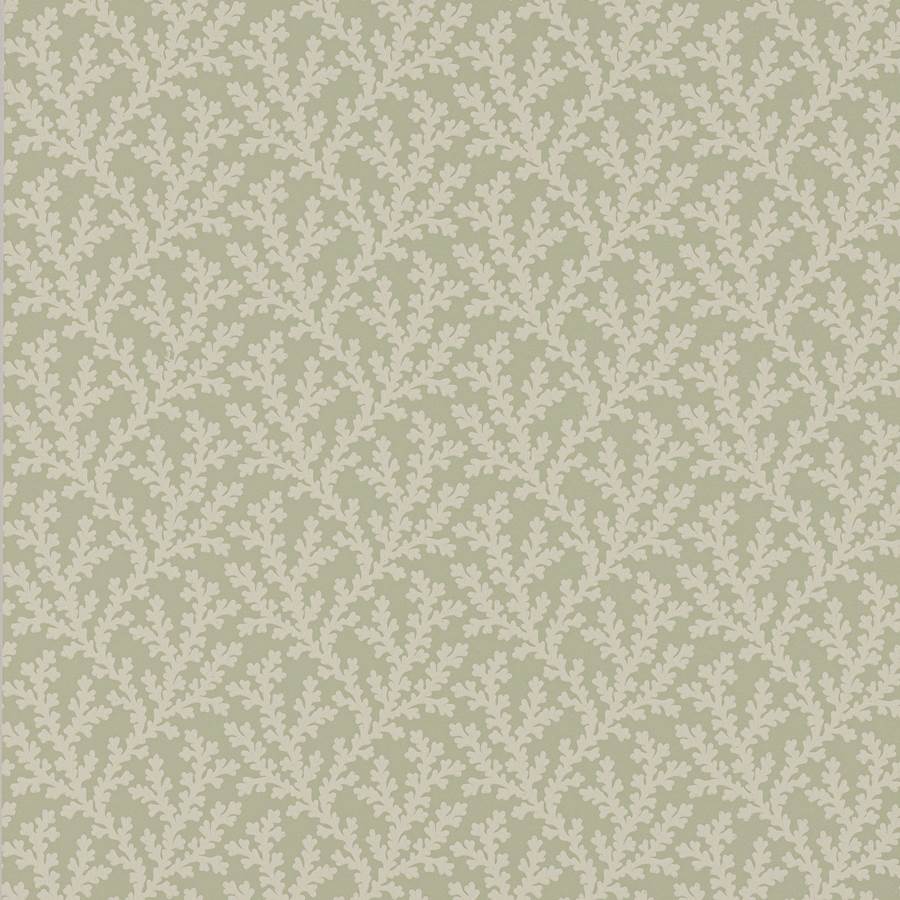 Colefax and Fowler Tapet Sea Coral Willow