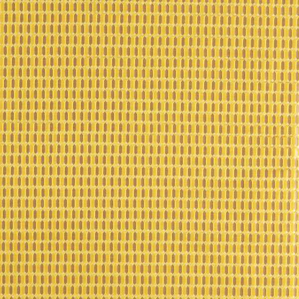 Zoffany Tyg Domino Trellis Tigers eye