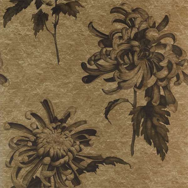 Evelyn Tapet — Zoffany
