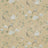 Pebble