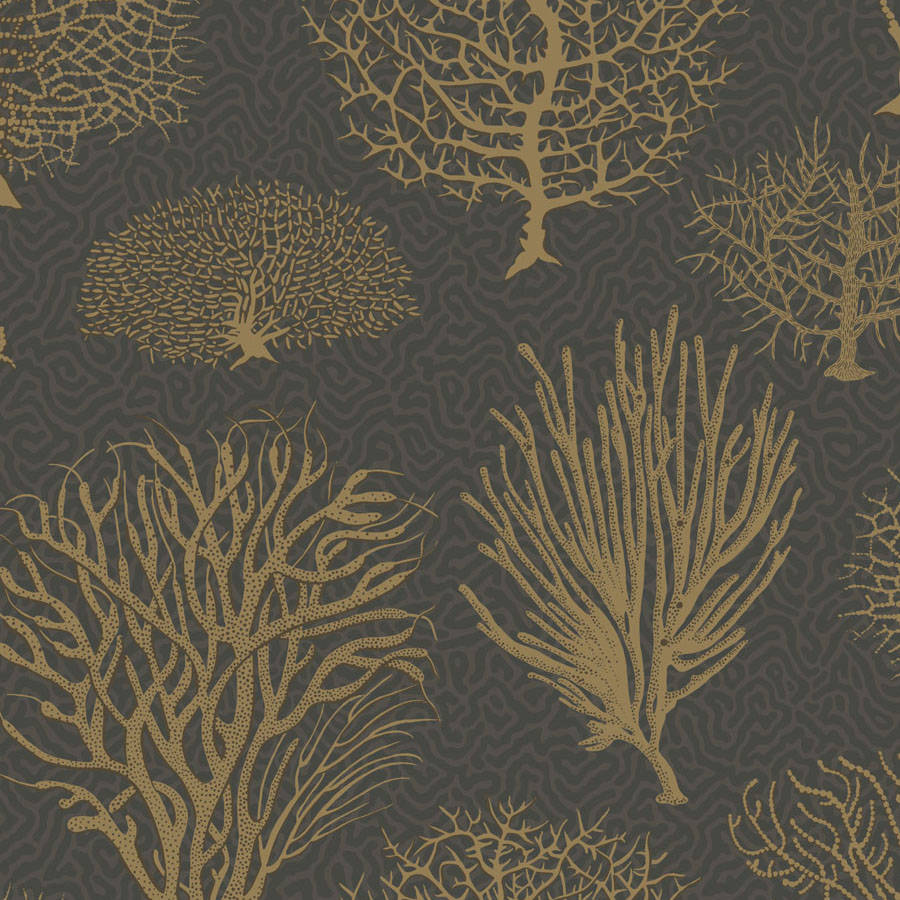 Seafern Tapetprov — Cole & Son