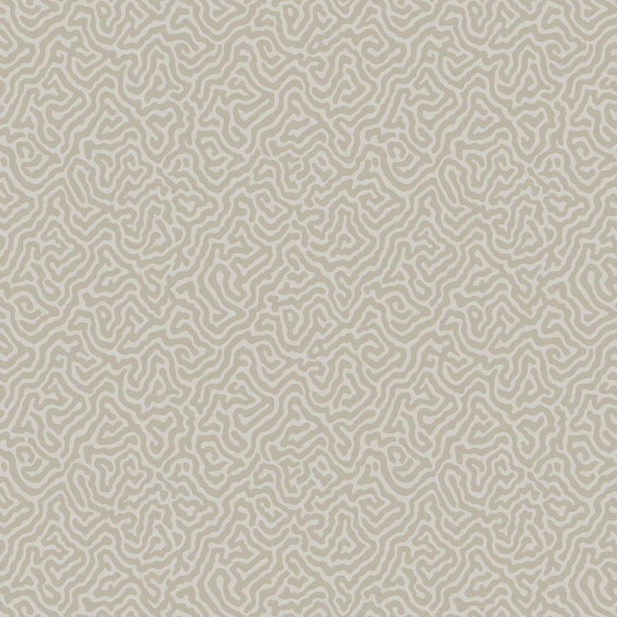 Vermicelli Tapetprov — Cole & Son