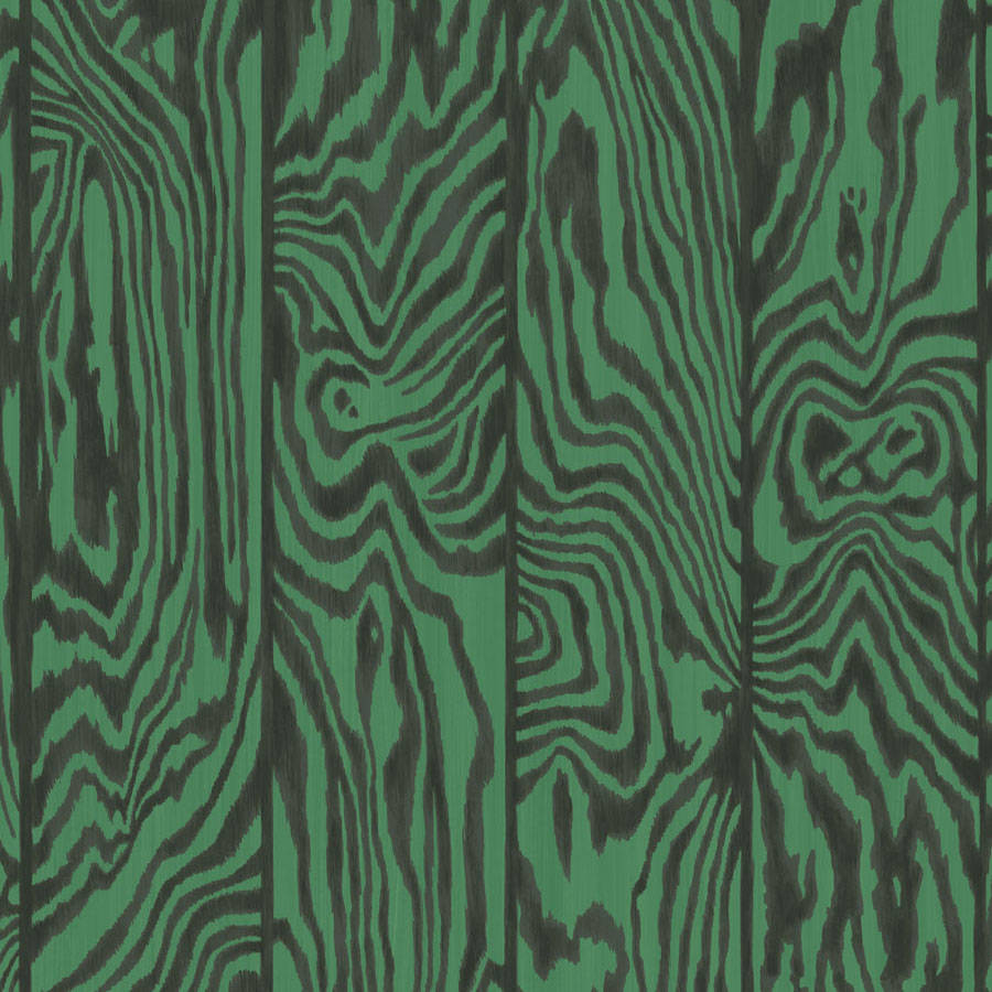 Zebrawood Tapetprov — Cole & Son