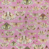Issoria Rose — Designers Guild tapet