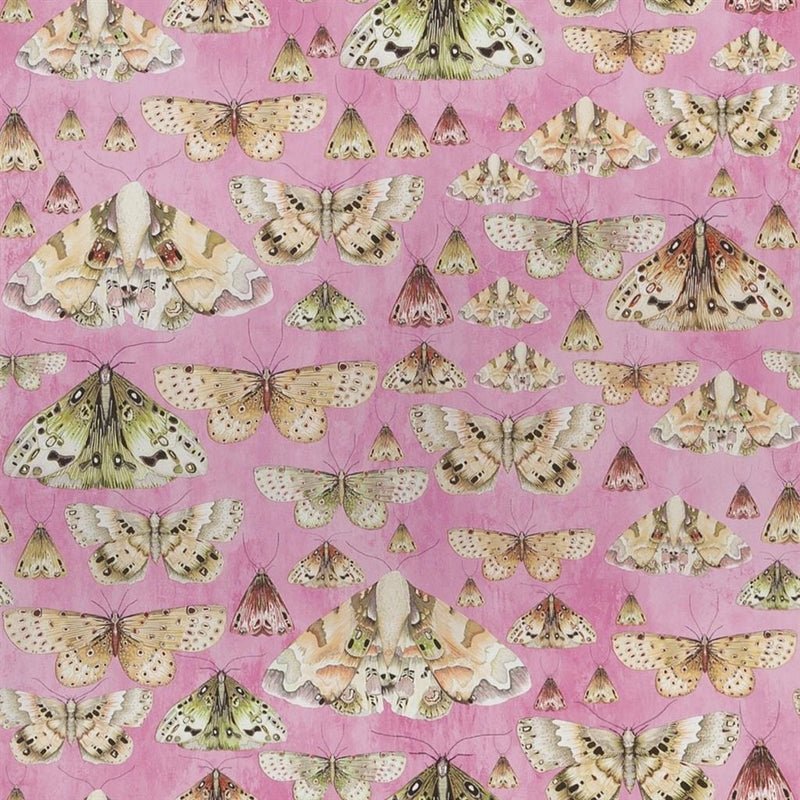 Issoria Tapet — Designers Guild