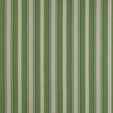 Tango Stripe Green — Jane Churchill tyg