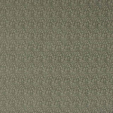 Buteo Aqua — Jane Churchill tyg