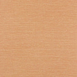 Zapphira Tapetprov — Jane Churchill Terracotta