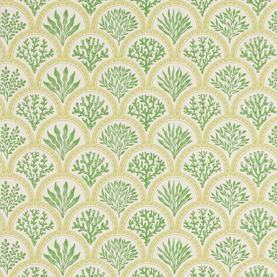 Coralli Green — Jane Churchill tapet