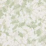 Mimosa Green — Jane Churchill tapet