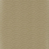 Sunstone Taupe — Jane Churchill tapet