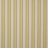 Hopwell Stripe Leaf/Pink — Jane Churchill tyg