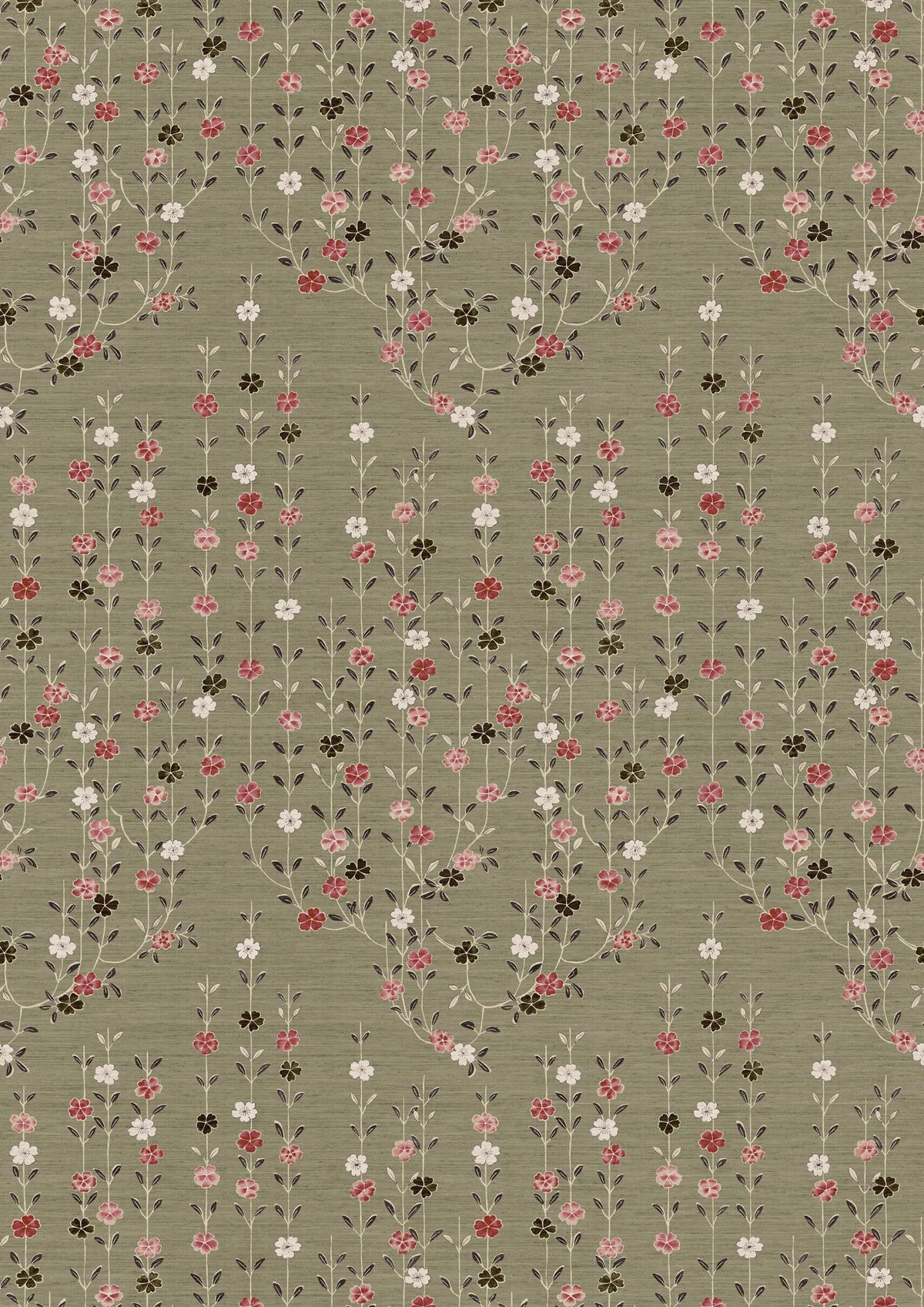 Blossom Tea Rose – hel bredd — Lewis & Wood tapet