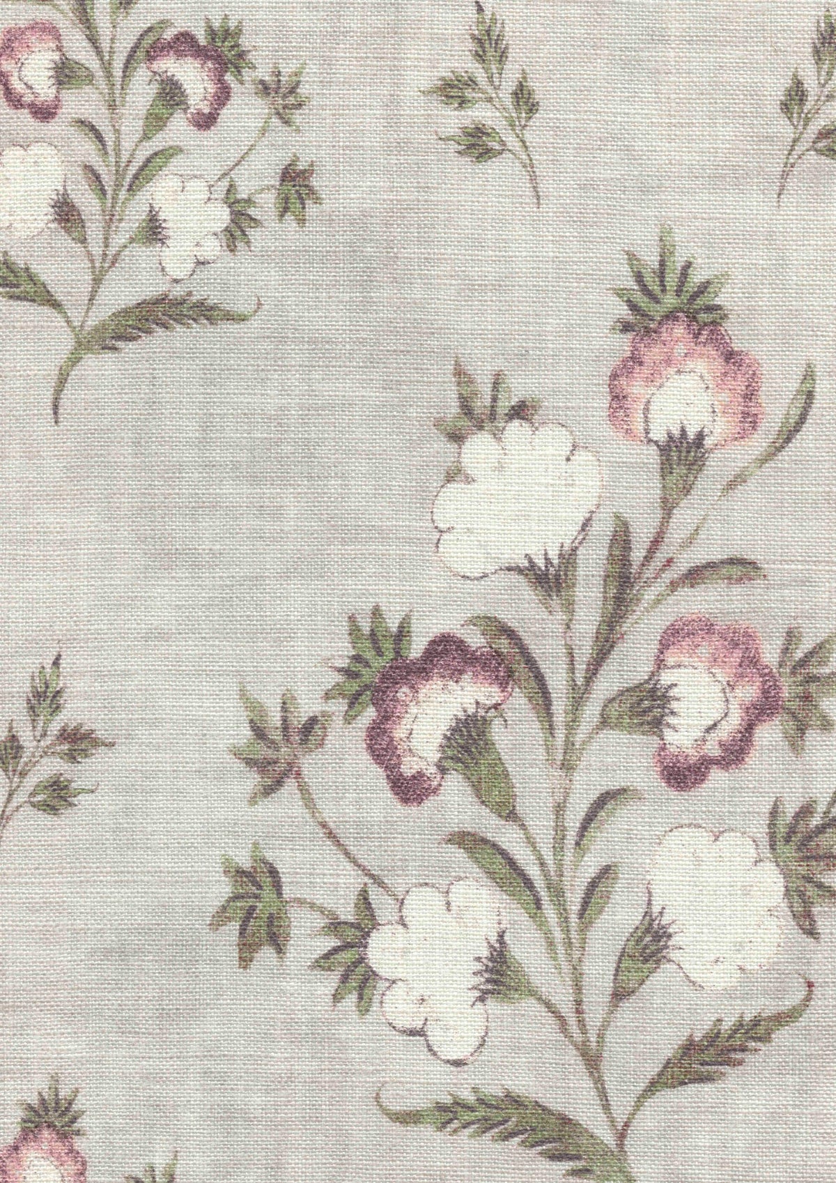Hindi Rose Anemone — Lewis & Wood tyg