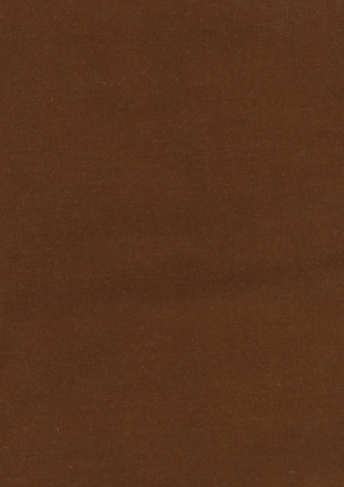 Rooksmoor Velvet Amber — Lewis & Wood tyg