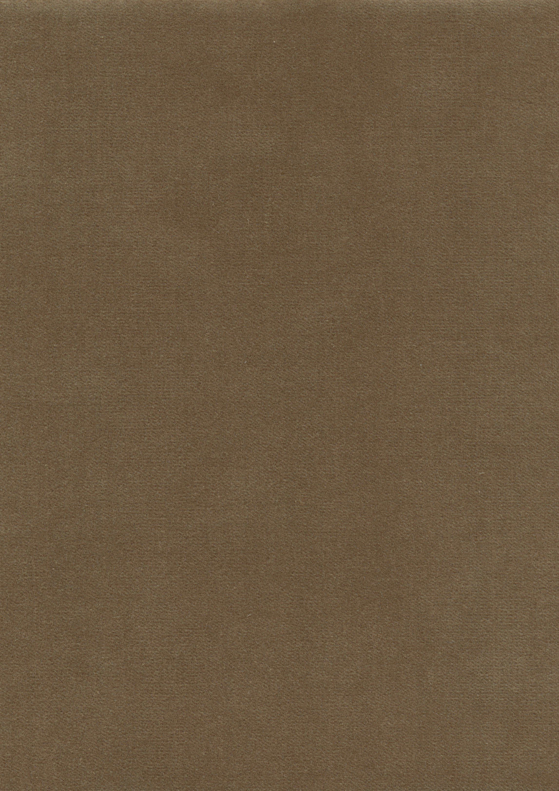 Rooksmoor Velvet Fawn — Lewis & Wood tyg