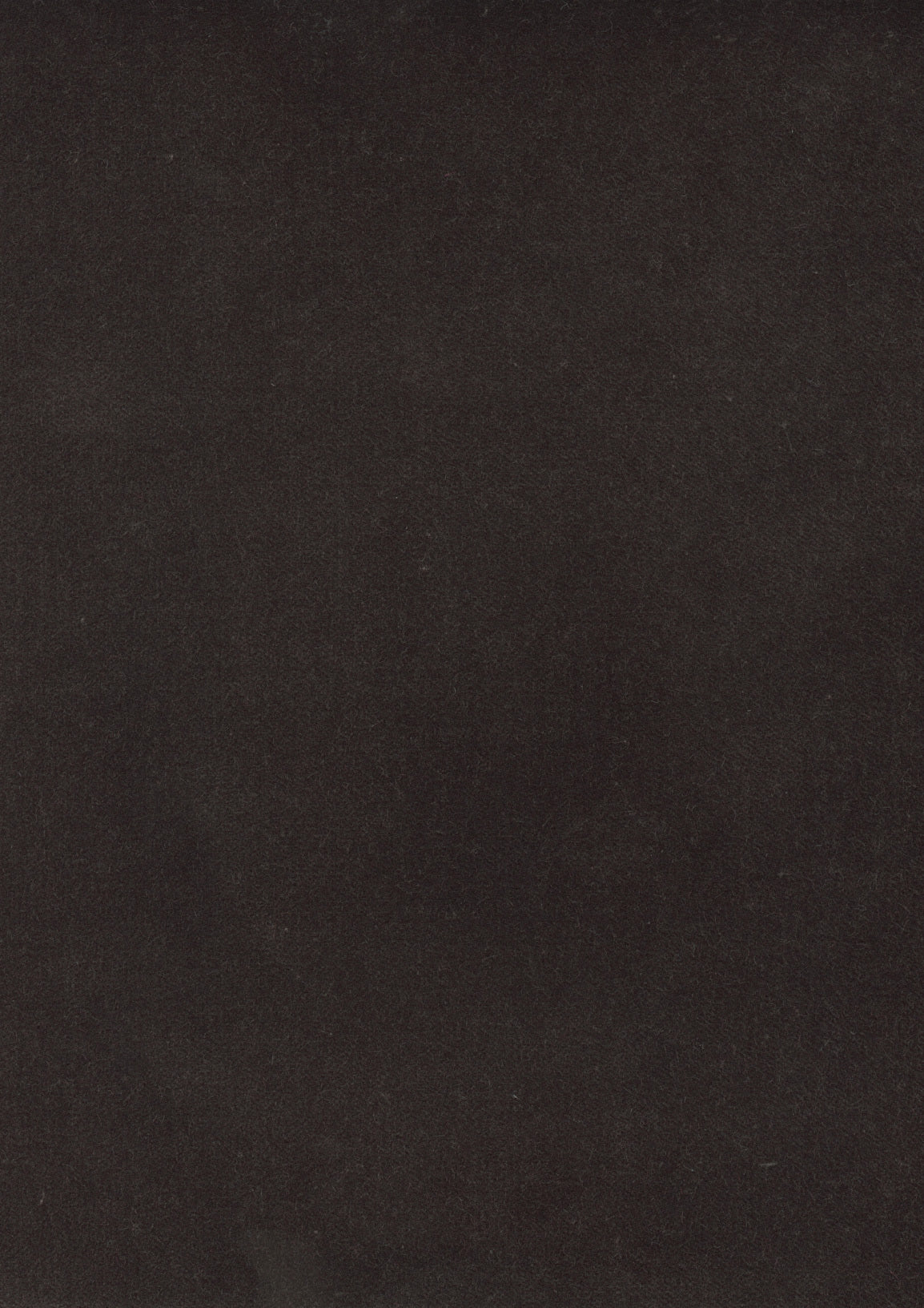 Rooksmoor Velvet Otter — Lewis & Wood tyg