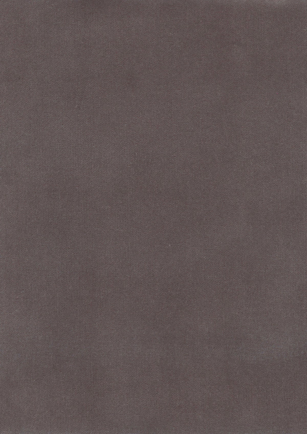 Rooksmoor Velvet Seal — Lewis & Wood tyg