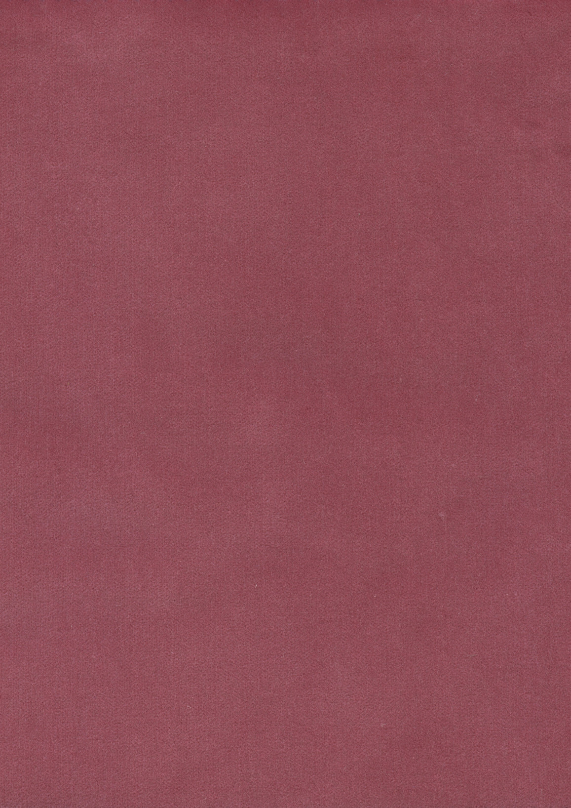 Rooksmoor Velvet Tricia Pink — Lewis & Wood tyg