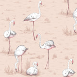 Cole and Son Tapet Flamingos 39