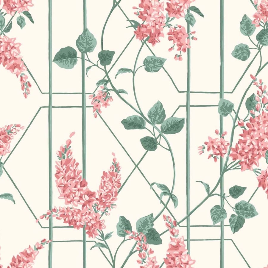 Cole and Son Tapet Wisteria 12