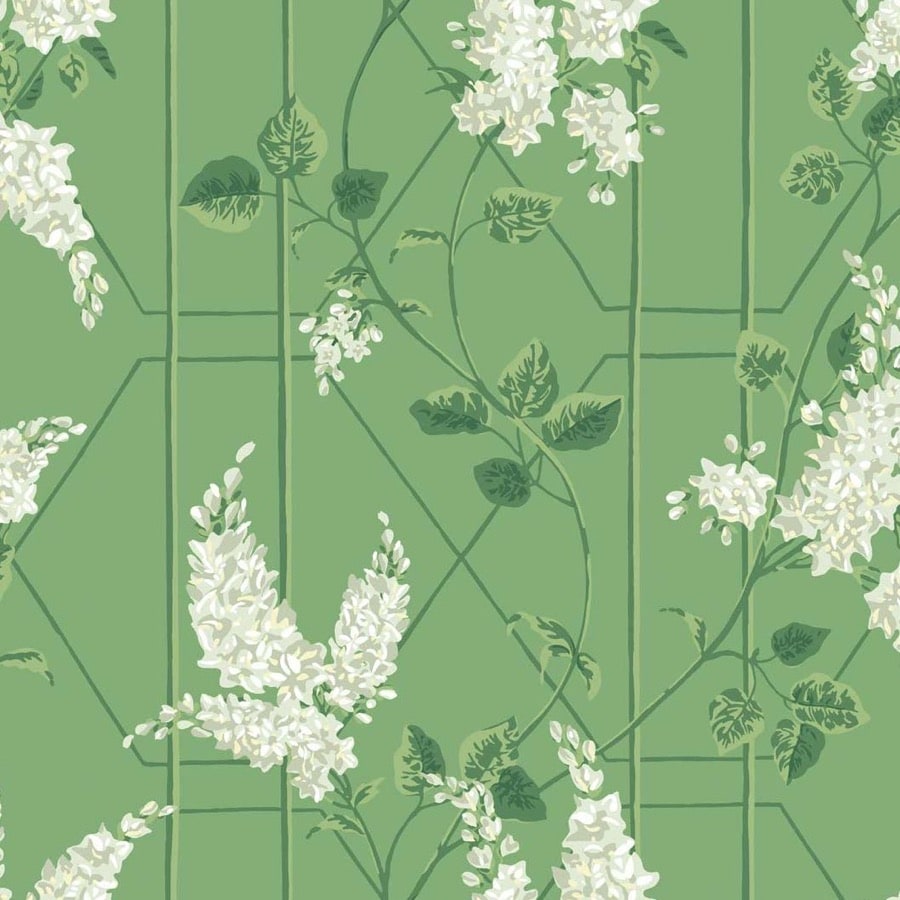 Cole and Son Tapet Wisteria 16
